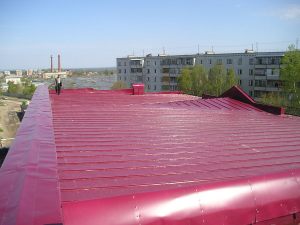 P5260015